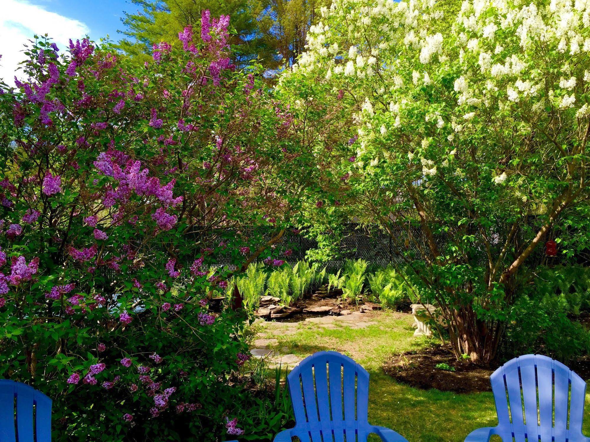Bourne Bed&Breakfast Ogunquit Eksteriør billede
